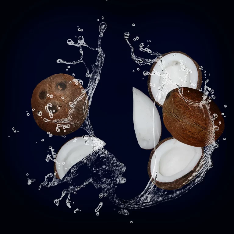acqua di cocco goya oscar78